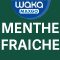 Menthe Fraiche x5